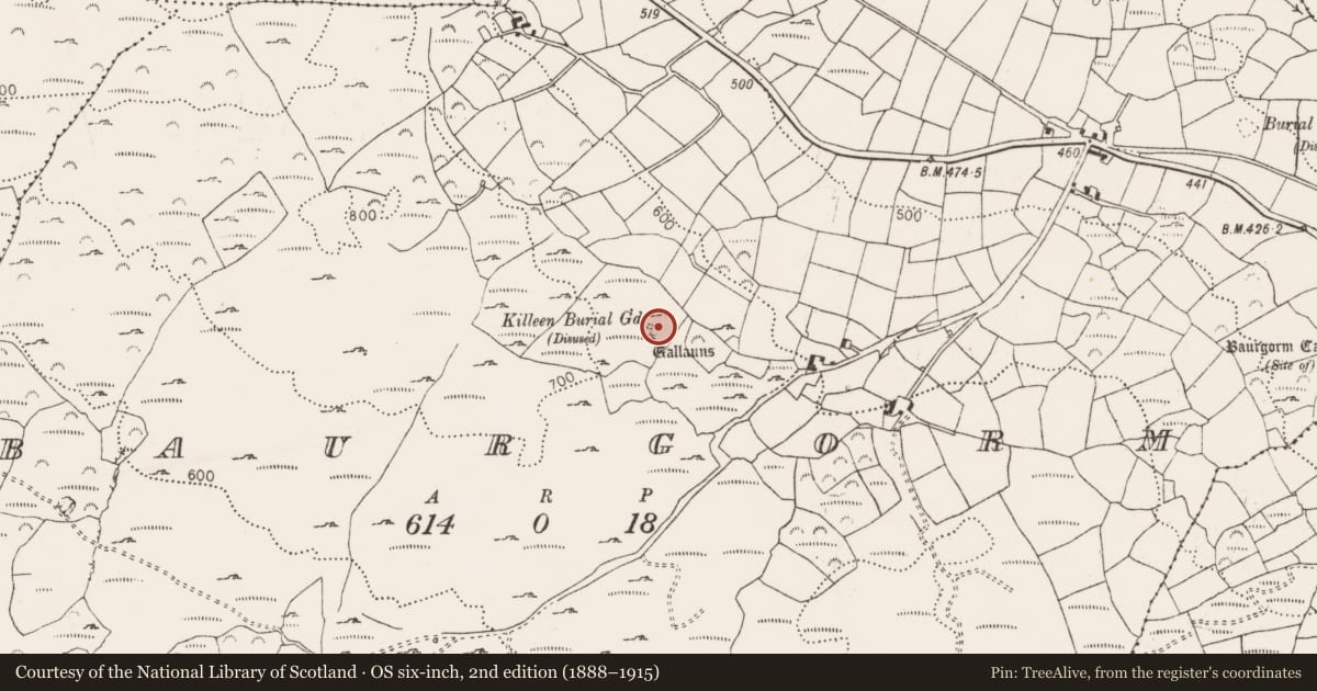 Ordnance Survey six-inch map, 2nd edition (1888–1915) covering the location of Stone circle - five-stone, Baurgorm, County Cork, with a pin at the register's coordinates
