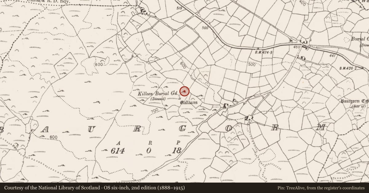 Ordnance Survey six-inch map, 2nd edition (1888–1915) covering the location of Burial ground, Baurgorm, County Cork, with a pin at the register's coordinates