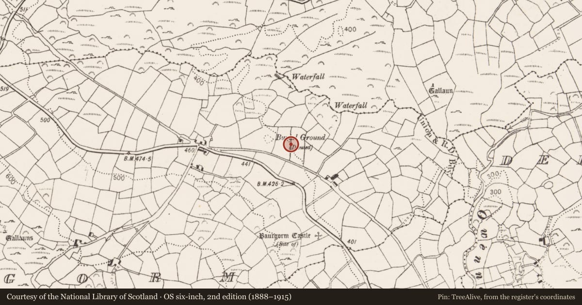 Ordnance Survey six-inch map, 2nd edition (1888–1915) covering the location of Standing stone, Baurgorm, County Cork, with a pin at the register's coordinates