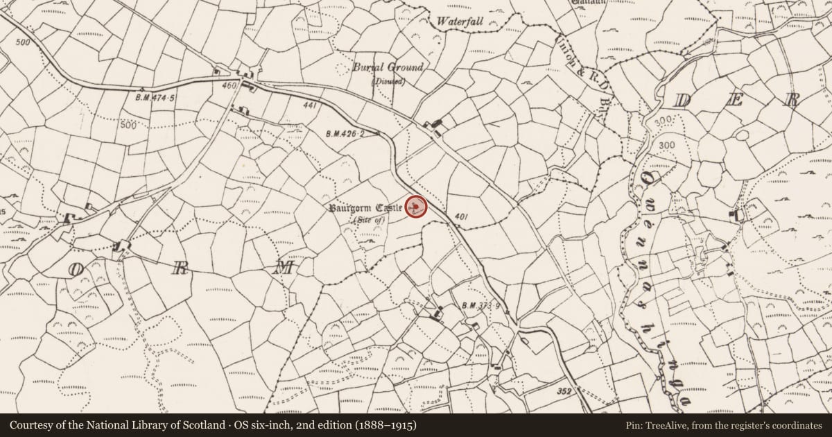 Ordnance Survey six-inch map, 2nd edition (1888–1915) covering the location of Castle - unclassified, Baurgorm, County Cork, with a pin at the register's coordinates