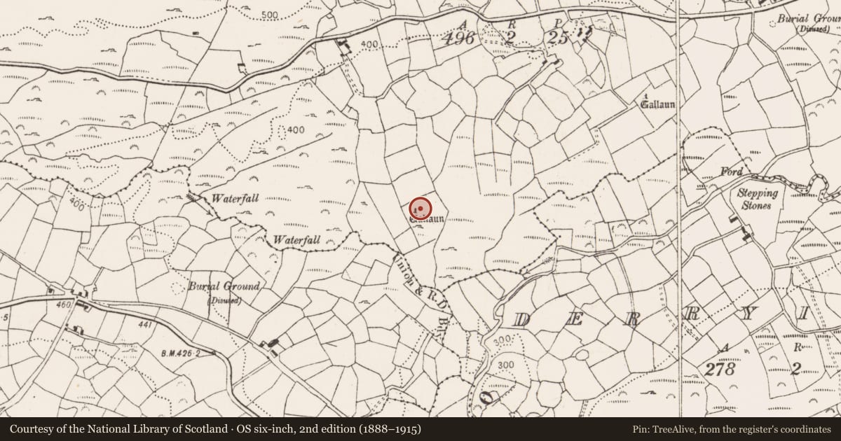 Ordnance Survey six-inch map, 2nd edition (1888–1915) covering the location of Standing stone, Trawlebane, County Cork, with a pin at the register's coordinates