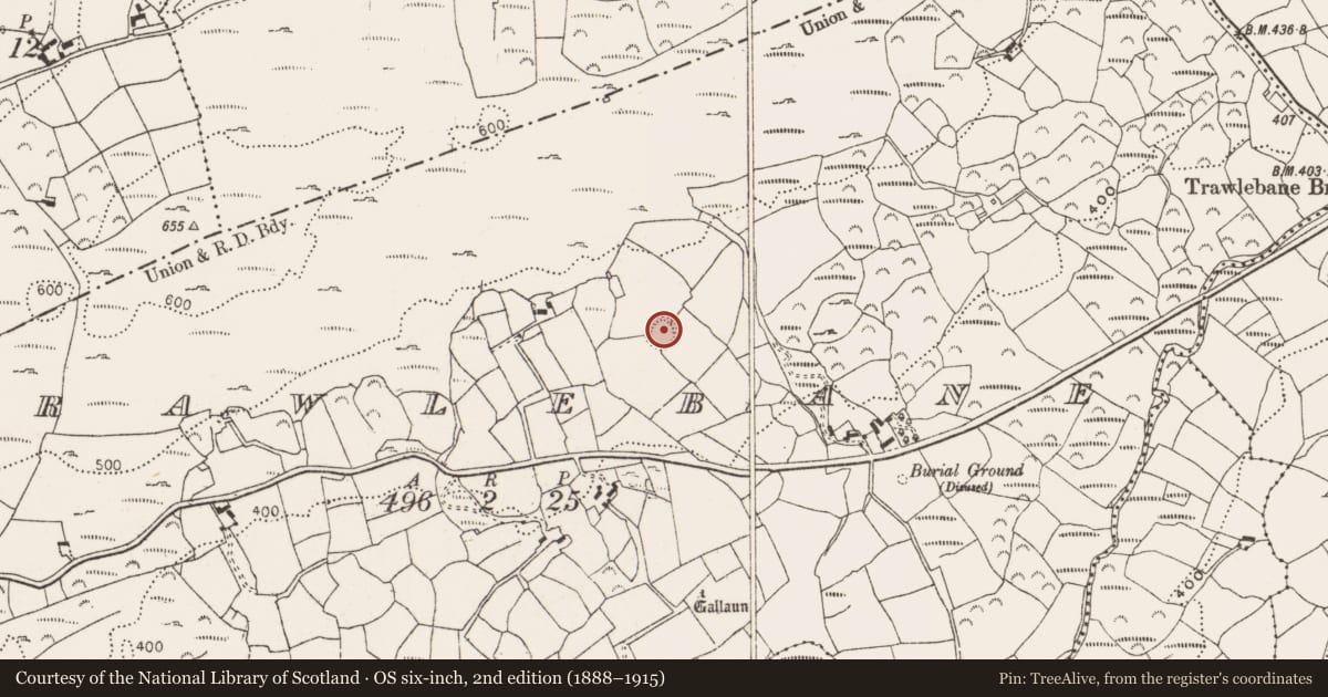 Ordnance Survey six-inch map, 2nd edition (1888–1915) covering the location of Ringfort - rath, Trawlebane, County Cork, with a pin at the register's coordinates