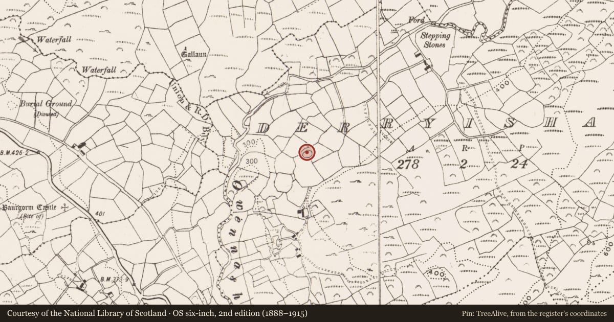 Ordnance Survey six-inch map, 2nd edition (1888–1915) covering the location of Ringfort - rath, Derryishal, County Cork, with a pin at the register's coordinates