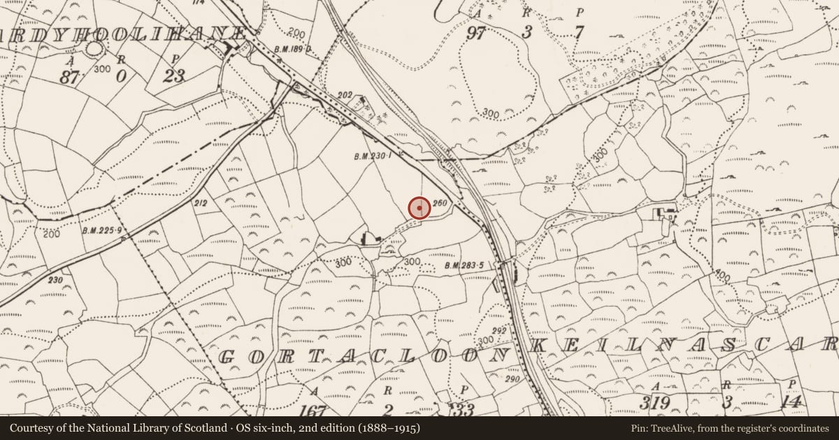 Ordnance Survey six-inch map, 2nd edition (1888–1915) covering the location of Standing stone, Gortacloona, County Cork, with a pin at the register's coordinates