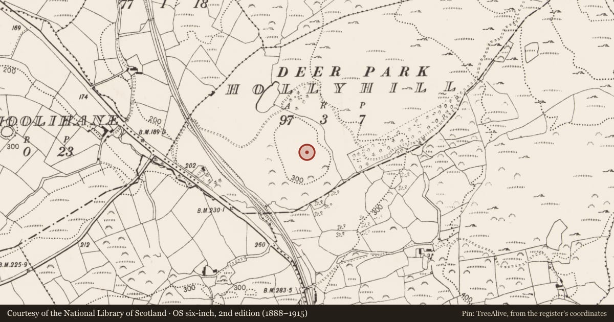 Ordnance Survey six-inch map, 2nd edition (1888–1915) covering the location of Ringfort - rath, Hollyhill, County Cork, with a pin at the register's coordinates