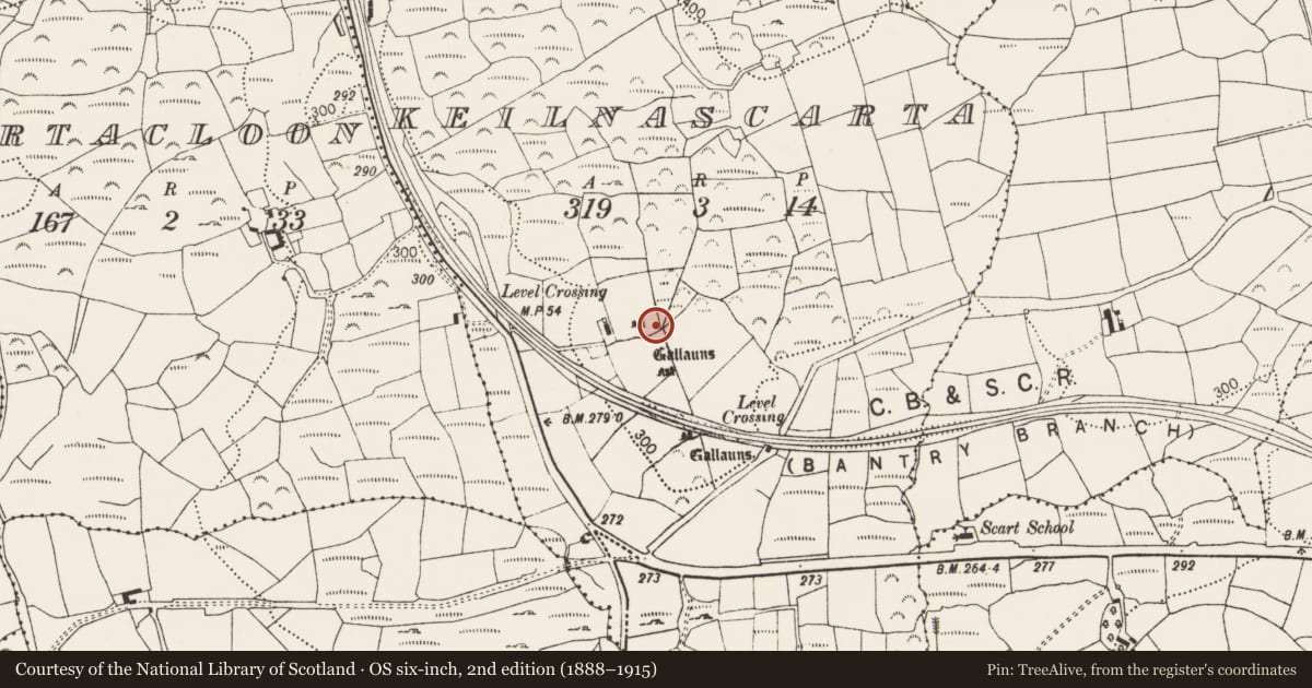 Ordnance Survey six-inch map, 2nd edition (1888–1915) covering the location of Standing stone - pair, Keilnascarta, County Cork, with a pin at the register's coordinates