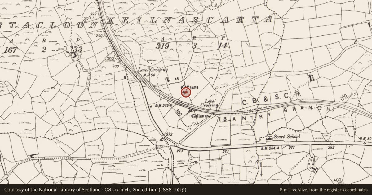 Ordnance Survey six-inch map, 2nd edition (1888–1915) covering the location of Stone row, Keilnascarta, County Cork, with a pin at the register's coordinates