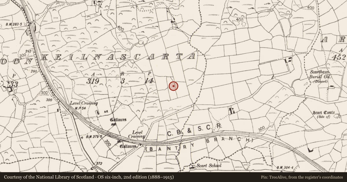 Ordnance Survey six-inch map, 2nd edition (1888–1915) covering the location of Standing stone, Keilnascarta, County Cork, with a pin at the register's coordinates