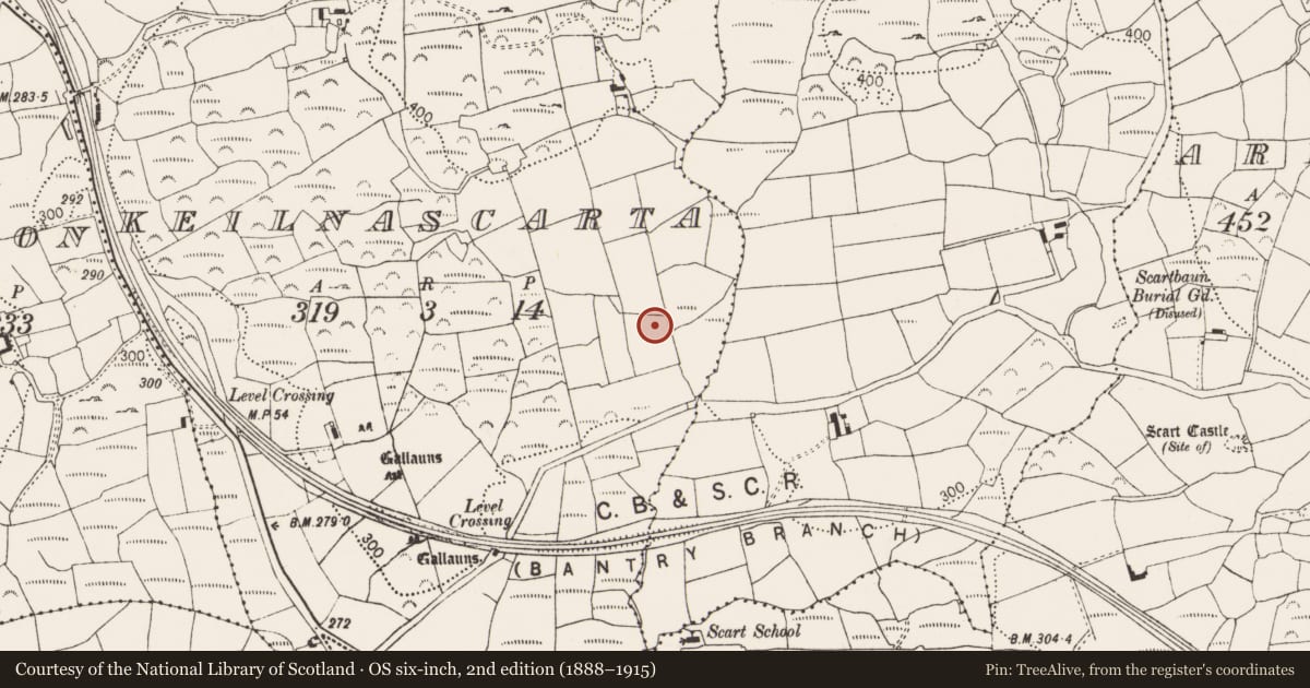 Ordnance Survey six-inch map, 2nd edition (1888–1915) covering the location of Standing stone, Keilnascarta, County Cork, with a pin at the register's coordinates