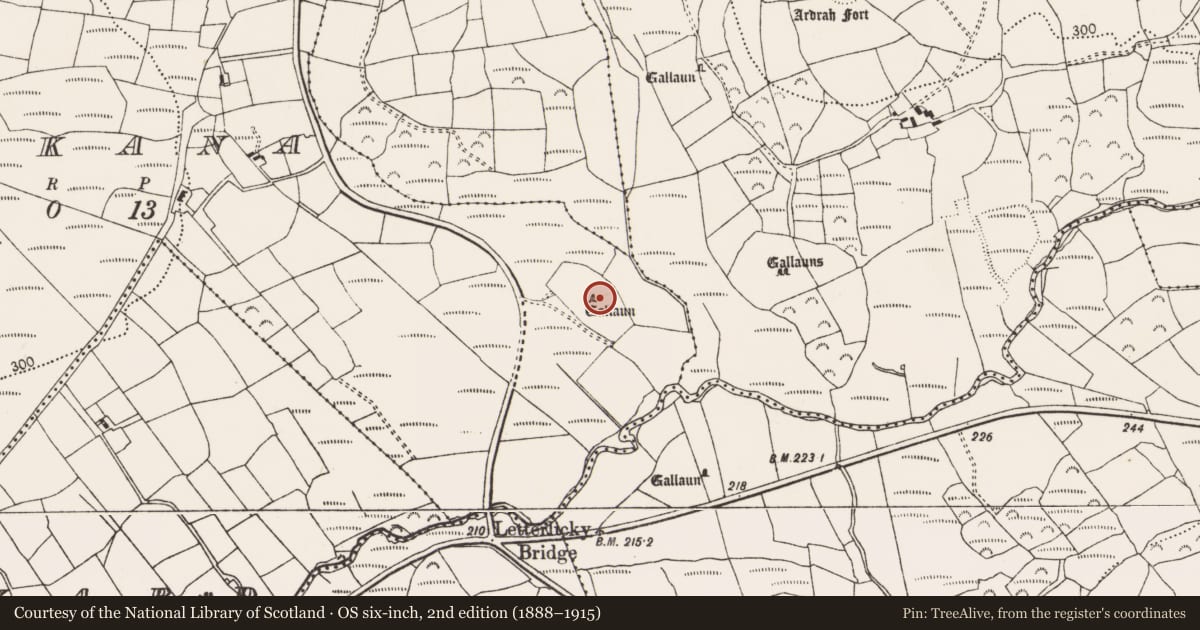 Ordnance Survey six-inch map, 2nd edition (1888–1915) covering the location of Standing stone - pair, Parkana, County Cork, with a pin at the register's coordinates