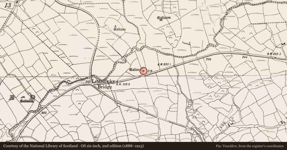 Ordnance Survey six-inch map, 2nd edition (1888–1915) covering the location of Standing stone, Letterlicky Middle, County Cork, with a pin at the register's coordinates