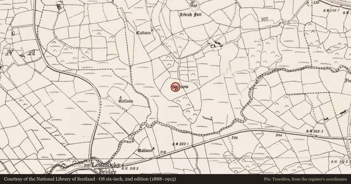 Ordnance Survey six-inch map, 2nd edition (1888–1915) covering the location of Standing stone, Ardrah, County Cork, with a pin at the register's coordinates
