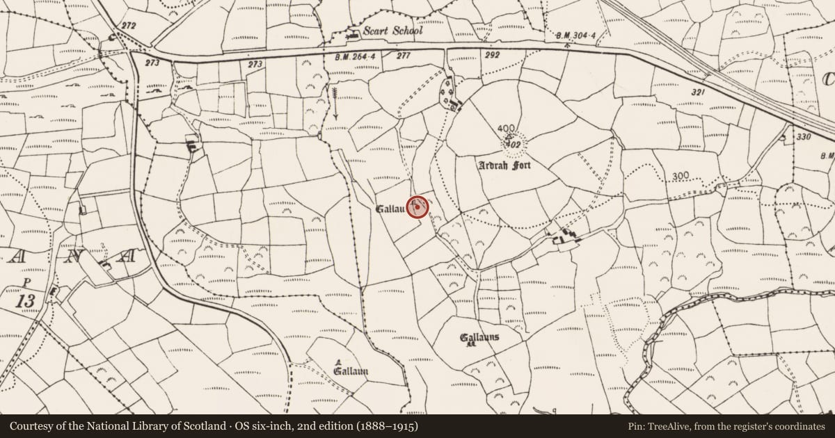 Ordnance Survey six-inch map, 2nd edition (1888–1915) covering the location of Standing stone, Ardrah, County Cork, with a pin at the register's coordinates
