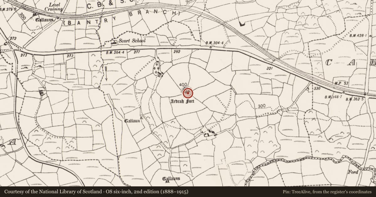 Ordnance Survey six-inch map, 2nd edition (1888–1915) covering the location of Ringfort - rath, Ardrah, County Cork, with a pin at the register's coordinates
