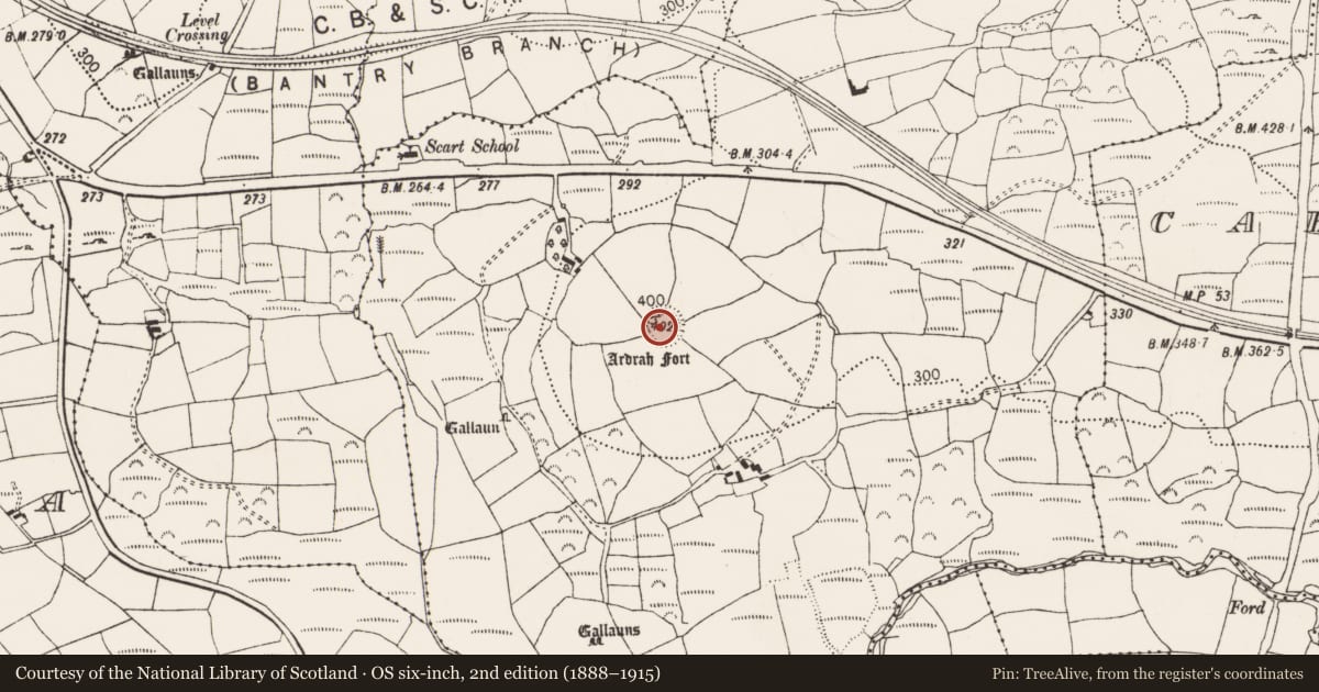 Ordnance Survey six-inch map, 2nd edition (1888–1915) covering the location of Souterrain, Ardrah, County Cork, with a pin at the register's coordinates