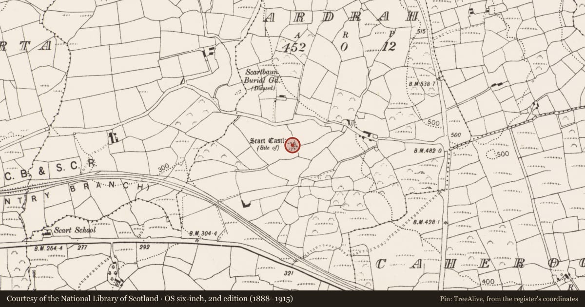 Ordnance Survey six-inch map, 2nd edition (1888–1915) covering the location of Castle - unclassified, Ardrah, County Cork, with a pin at the register's coordinates