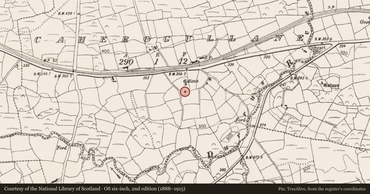 Ordnance Survey six-inch map, 2nd edition (1888–1915) covering the location of Ringfort - rath, Caherogullane, County Cork, with a pin at the register's coordinates