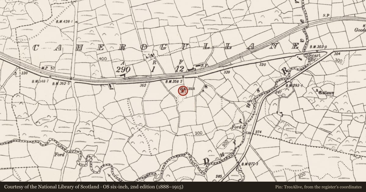 Ordnance Survey six-inch map, 2nd edition (1888–1915) covering the location of Standing stone, Caherogullane, County Cork, with a pin at the register's coordinates