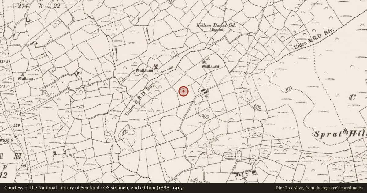 Ordnance Survey six-inch map, 2nd edition (1888–1915) covering the location of Ringfort - rath, Cullomane West, County Cork, with a pin at the register's coordinates