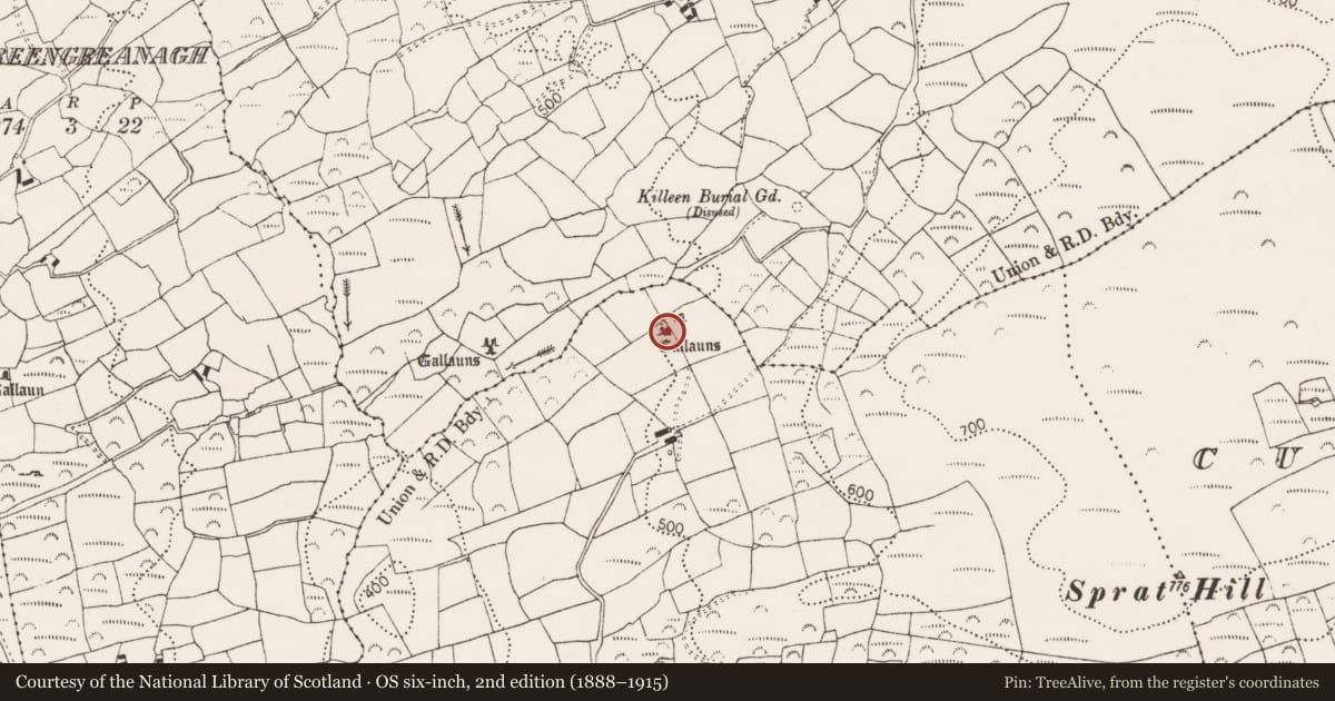 Ordnance Survey six-inch map, 2nd edition (1888–1915) covering the location of Standing stone, Cullomane West, County Cork, with a pin at the register's coordinates