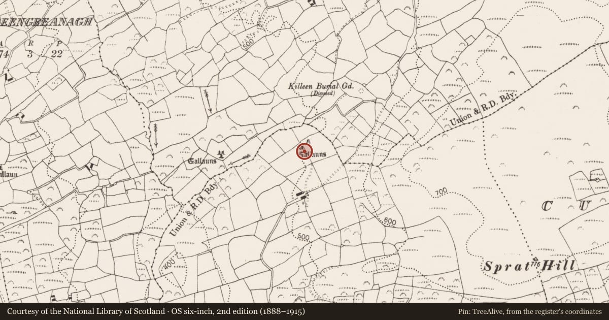Ordnance Survey six-inch map, 2nd edition (1888–1915) covering the location of Stone row, Cullomane West, County Cork, with a pin at the register's coordinates