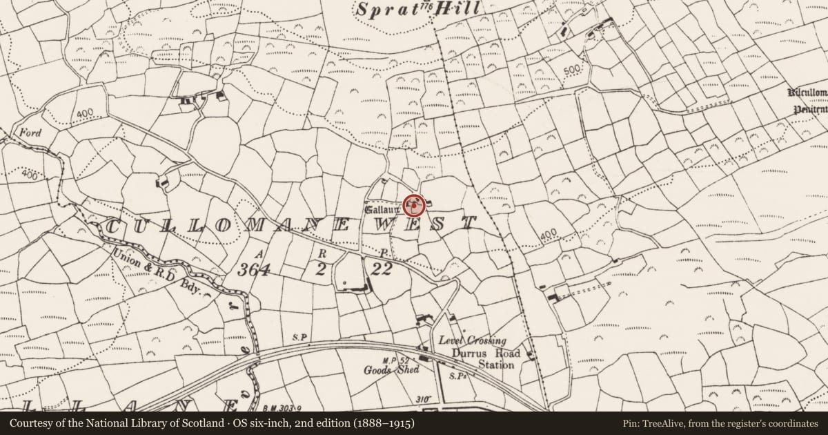 Ordnance Survey six-inch map, 2nd edition (1888–1915) covering the location of Standing stone, Cullomane West, County Cork, with a pin at the register's coordinates