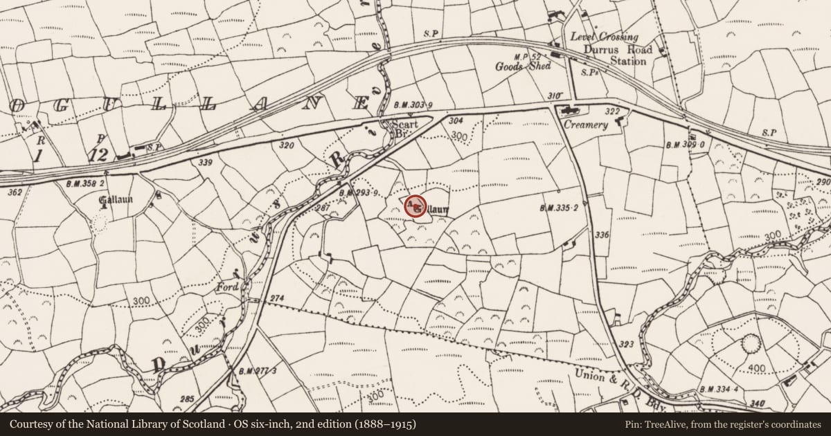 Ordnance Survey six-inch map, 2nd edition (1888–1915) covering the location of Standing stone, Cullomane West, County Cork, with a pin at the register's coordinates