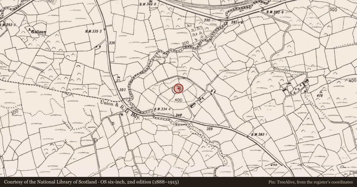Ordnance Survey six-inch map, 2nd edition (1888–1915) covering the location of Ringfort - rath, Dromourneen, County Cork, with a pin at the register's coordinates