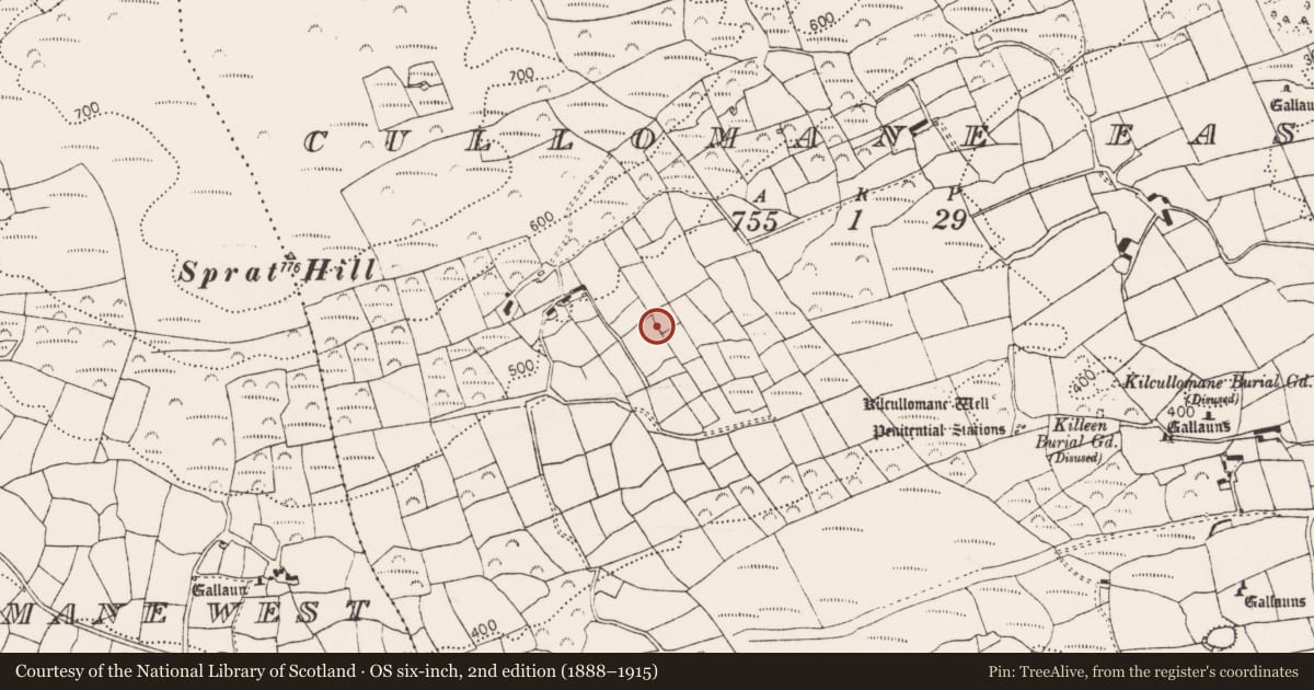 Ordnance Survey six-inch map, 2nd edition (1888–1915) covering the location of Standing stone, Cullomane East, County Cork, with a pin at the register's coordinates