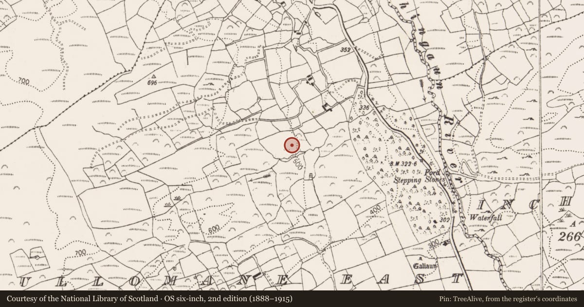 Ordnance Survey six-inch map, 2nd edition (1888–1915) covering the location of Hut site, Cullomane East, County Cork, with a pin at the register's coordinates