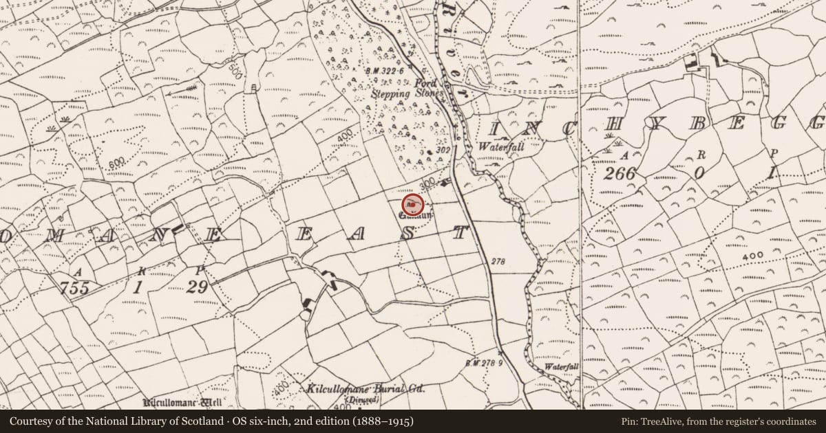 Ordnance Survey six-inch map, 2nd edition (1888–1915) covering the location of Standing stone, Cullomane East, County Cork, with a pin at the register's coordinates