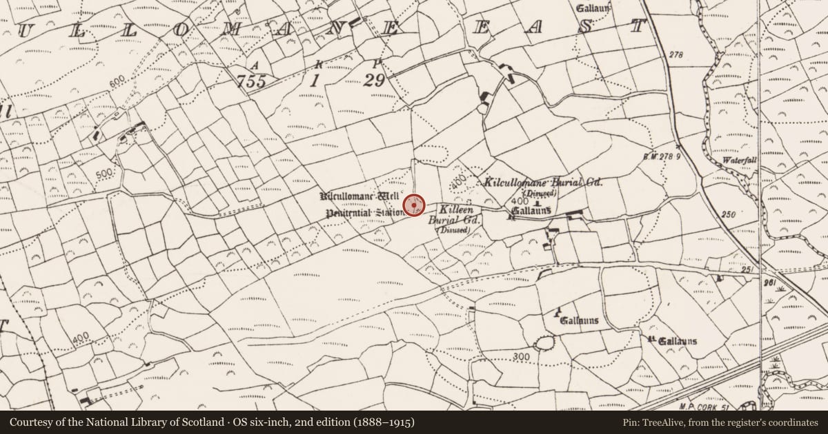 Ordnance Survey six-inch map, 2nd edition (1888–1915) covering the location of Boulder-burial, Cullomane East, County Cork, with a pin at the register's coordinates