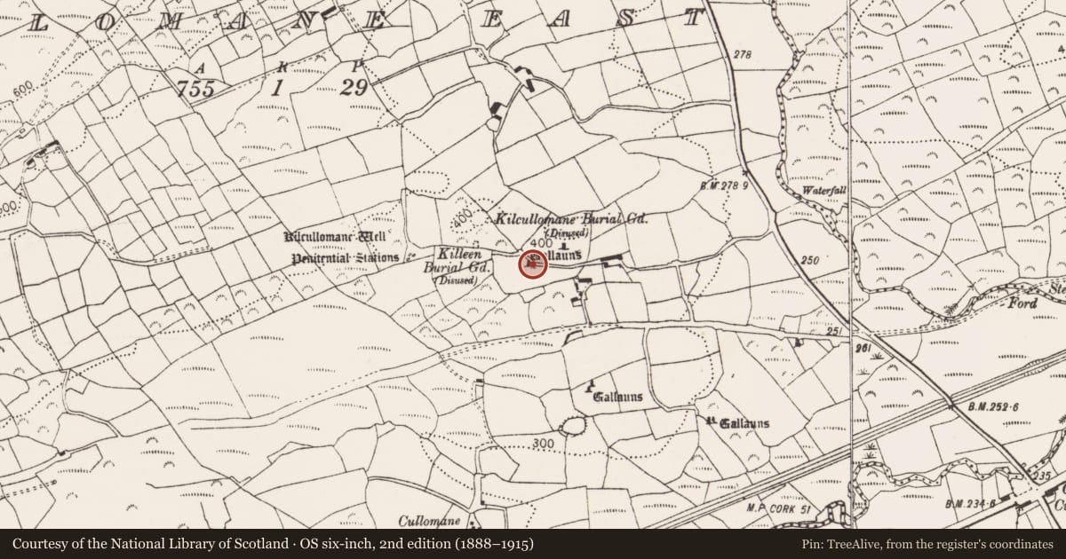 Ordnance Survey six-inch map, 2nd edition (1888–1915) covering the location of Stone circle - five-stone, Cullomane East, County Cork, with a pin at the register's coordinates