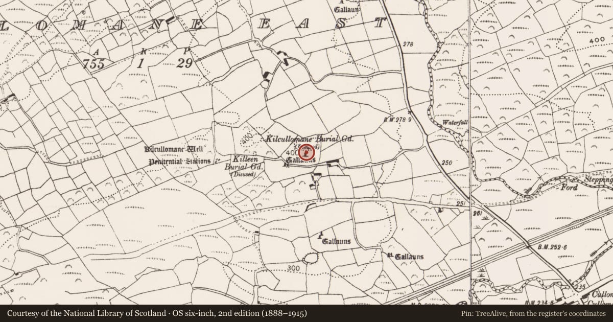 Ordnance Survey six-inch map, 2nd edition (1888–1915) covering the location of Standing stone, Cullomane East, County Cork, with a pin at the register's coordinates