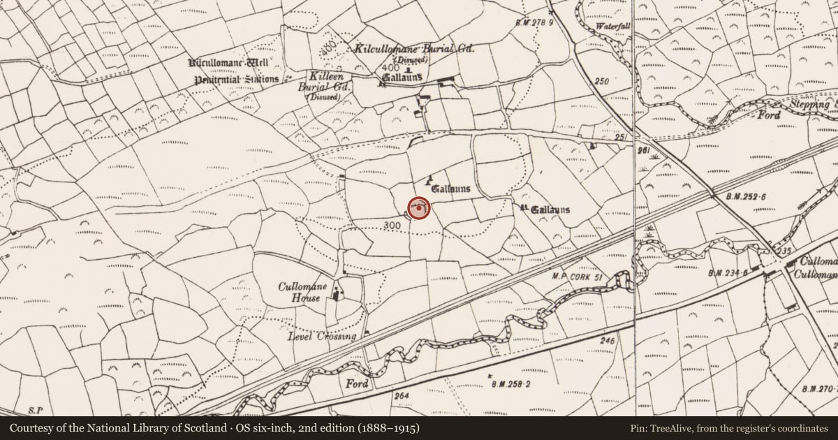 Ordnance Survey six-inch map, 2nd edition (1888–1915) covering the location of Ringfort - rath, Cullomane East, County Cork, with a pin at the register's coordinates
