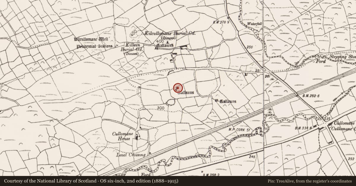 Ordnance Survey six-inch map, 2nd edition (1888–1915) covering the location of Anomalous stone group, Cullomane East, County Cork, with a pin at the register's coordinates