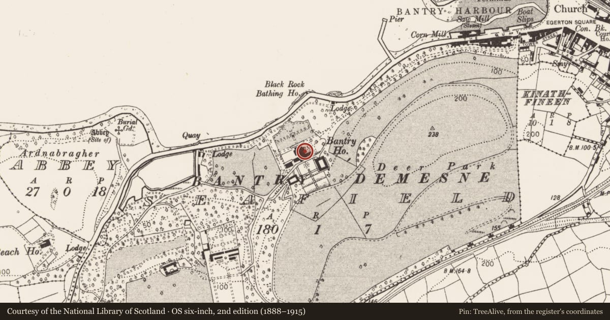 Ordnance Survey six-inch map, 2nd edition (1888–1915) covering the location of Country house, Seafield, County Cork, with a pin at the register's coordinates