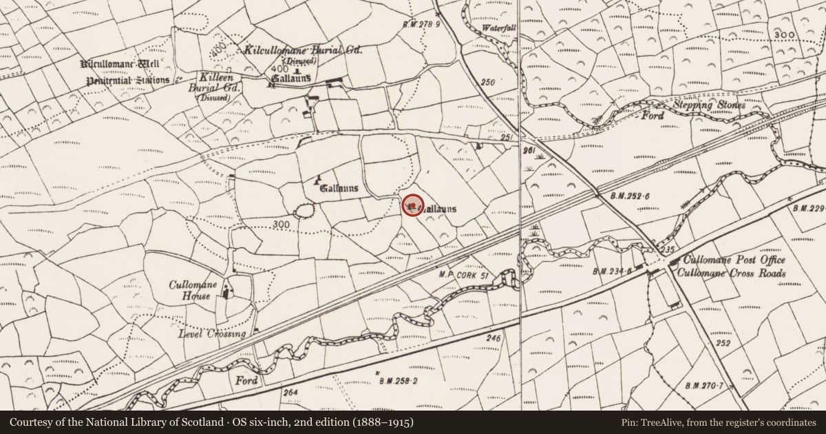 Ordnance Survey six-inch map, 2nd edition (1888–1915) covering the location of Stone row, Cullomane East, County Cork, with a pin at the register's coordinates