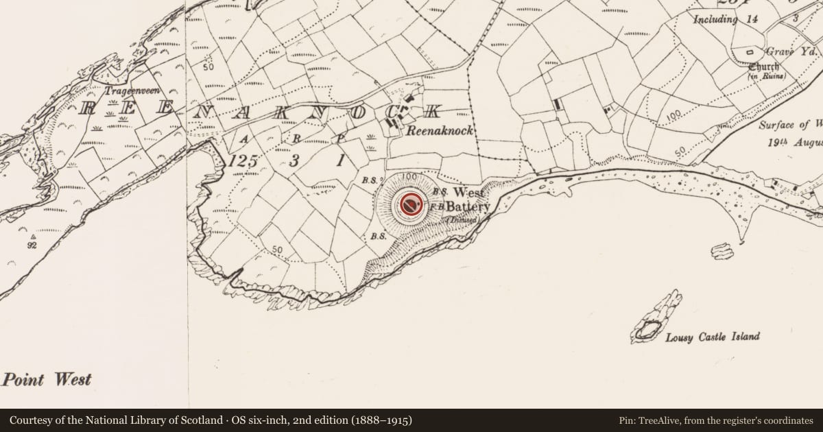 Ordnance Survey six-inch map, 2nd edition (1888–1915) covering the location of Battery, Reenaknock, County Cork, with a pin at the register's coordinates