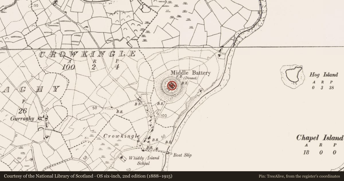 Ordnance Survey six-inch map, 2nd edition (1888–1915) covering the location of Battery, Reenavanny (Whiddy Island), County Cork, with a pin at the register's coordinates