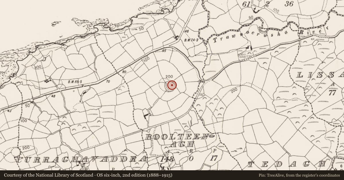 Ordnance Survey six-inch map, 2nd edition (1888–1915) covering the location of Souterrain, Boolteenagh, County Cork, with a pin at the register's coordinates