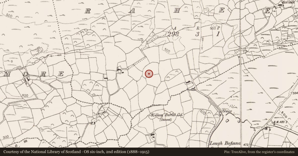 Ordnance Survey six-inch map, 2nd edition (1888–1915) covering the location of Standing stone, Raheen, County Cork, with a pin at the register's coordinates