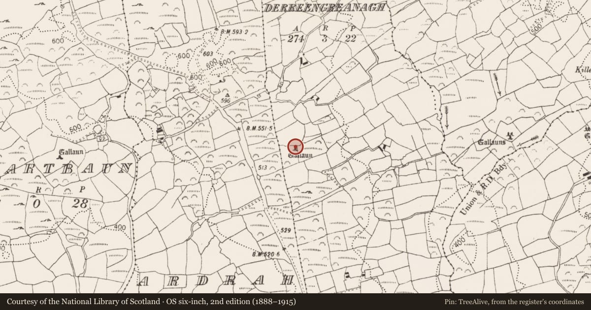 Ordnance Survey six-inch map, 2nd edition (1888–1915) covering the location of Standing stone, Derreengreanagh, County Cork, with a pin at the register's coordinates