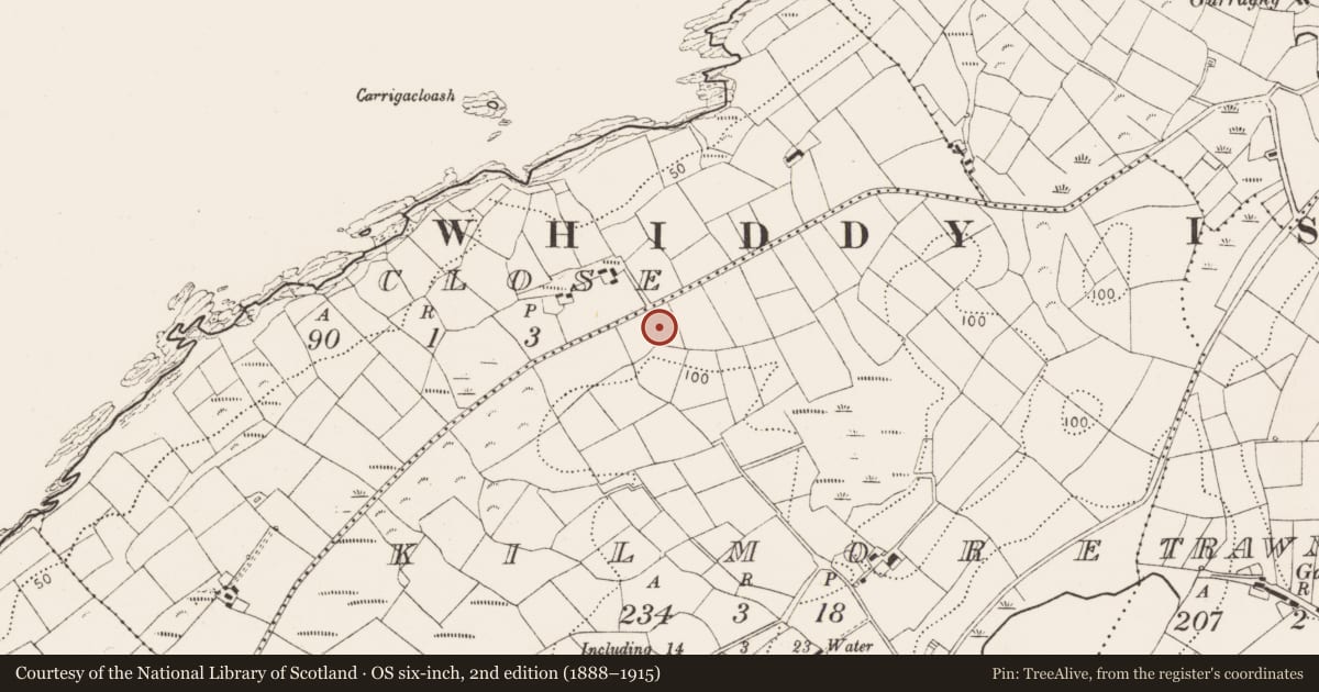 Ordnance Survey six-inch map, 2nd edition (1888–1915) covering the location of Ritual site - holy well, Kilmore, County Cork, with a pin at the register's coordinates