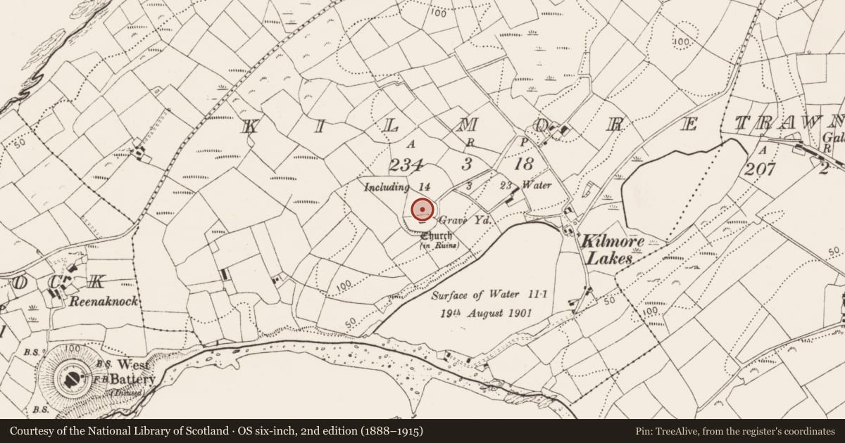 Ordnance Survey six-inch map, 2nd edition (1888–1915) covering the location of Ecclesiastical enclosure, Kilmore, County Cork, with a pin at the register's coordinates
