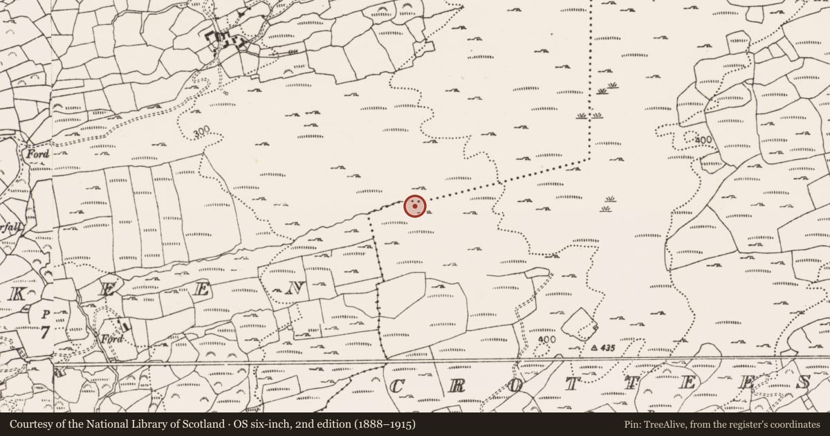 Ordnance Survey six-inch map, 2nd edition (1888–1915) covering the location of Anomalous stone group, Crottees, County Cork, with a pin at the register's coordinates