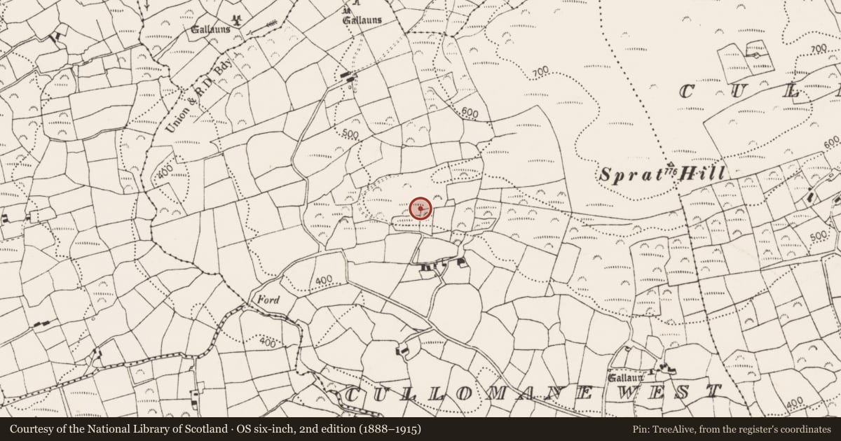 Ordnance Survey six-inch map, 2nd edition (1888–1915) covering the location of Mass-rock, Cullomane West, County Cork, with a pin at the register's coordinates