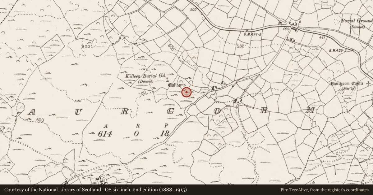 Ordnance Survey six-inch map, 2nd edition (1888–1915) covering the location of Standing stone, Baurgorm, County Cork, with a pin at the register's coordinates