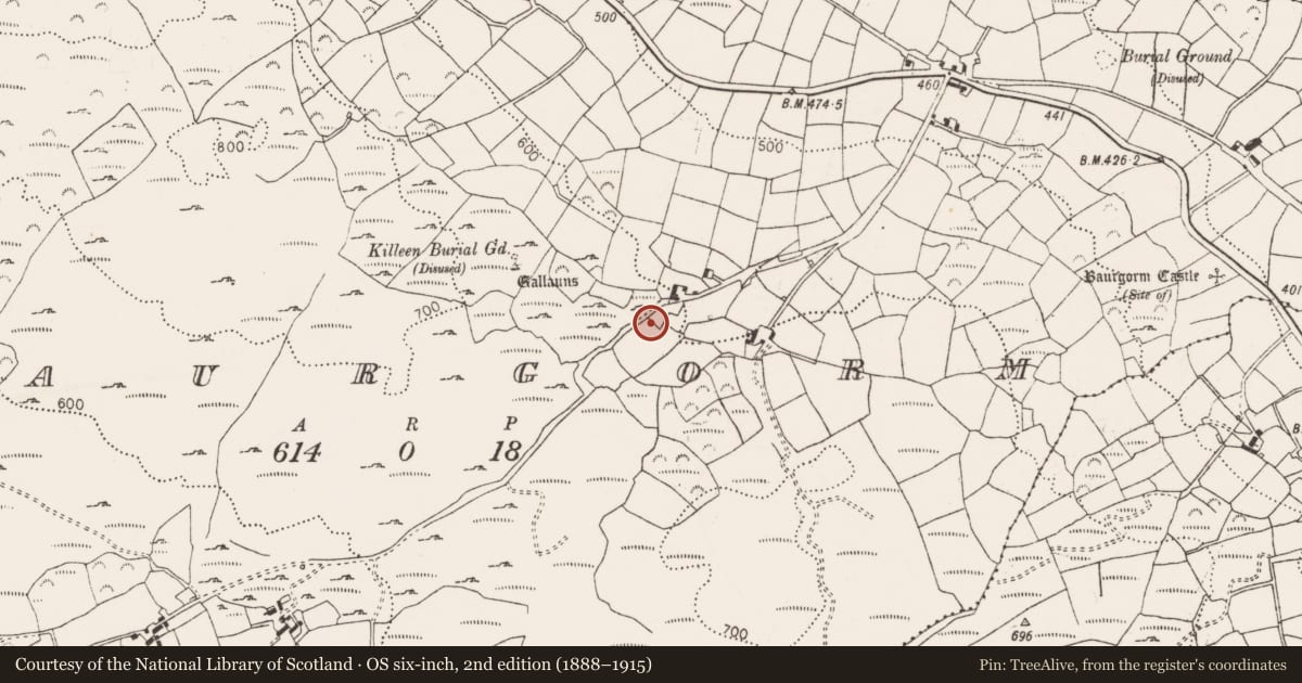 Ordnance Survey six-inch map, 2nd edition (1888–1915) covering the location of Standing stone, Baurgorm, County Cork, with a pin at the register's coordinates
