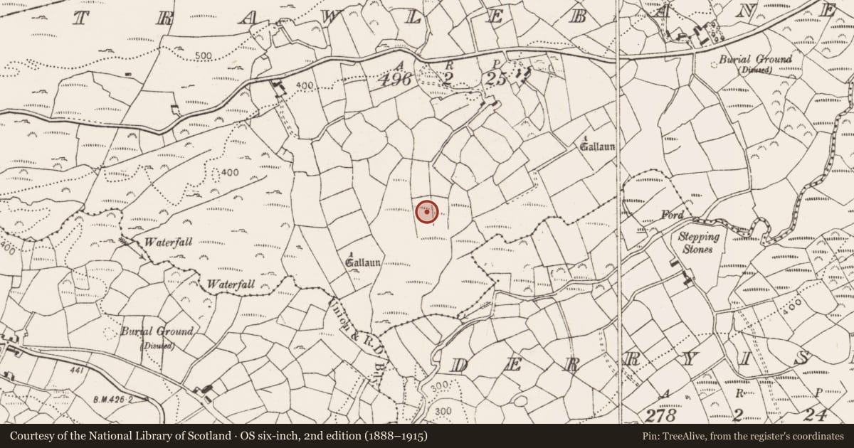 Ordnance Survey six-inch map, 2nd edition (1888–1915) covering the location of Fulacht fia, Trawlebane, County Cork, with a pin at the register's coordinates